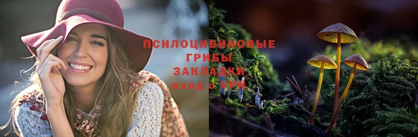 круглые Алексеевка